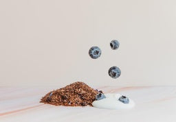 Blueberry Yoghurt