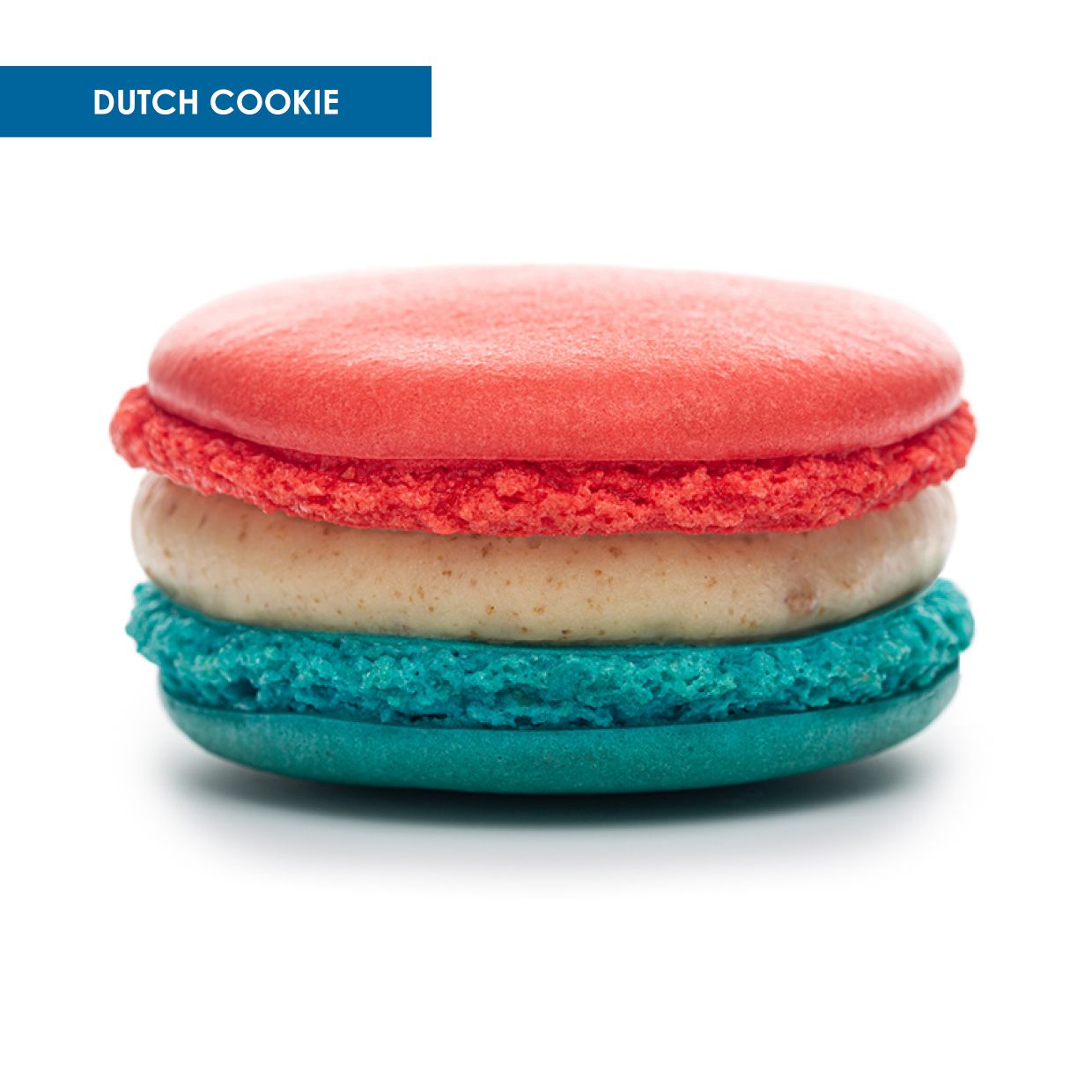 Macaron Dutch Cookie