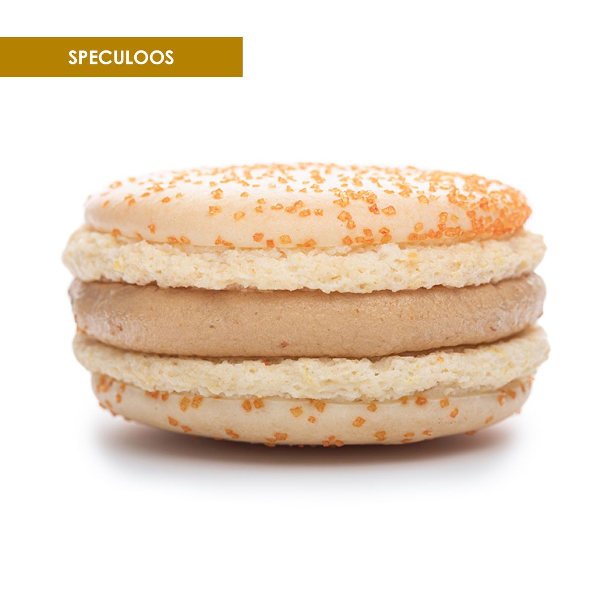 Macaron Speculoos